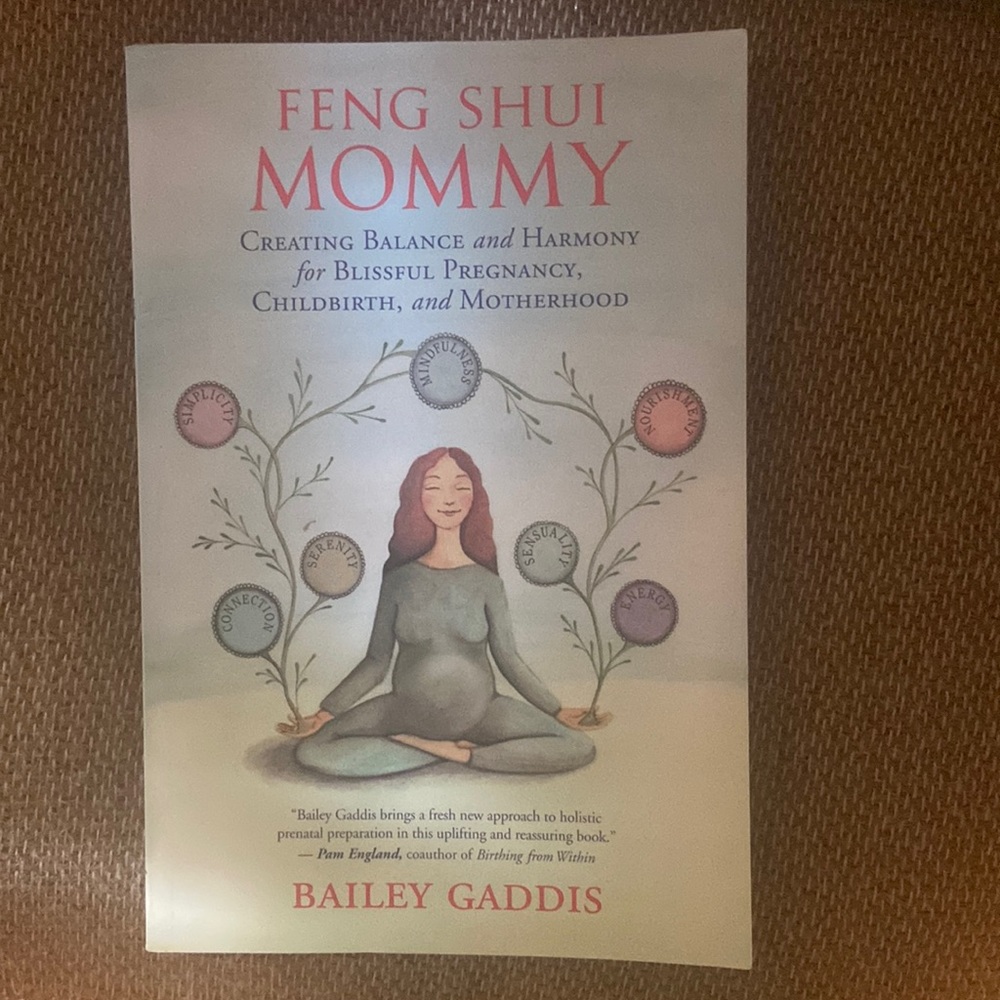 Feng Shui Mommy book by Bailey Gaddis
